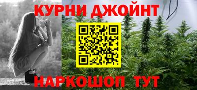 дмт Сланцы